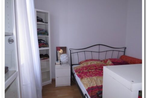 1020_springerg_szi_neu