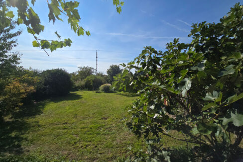 2011_untermall_garten