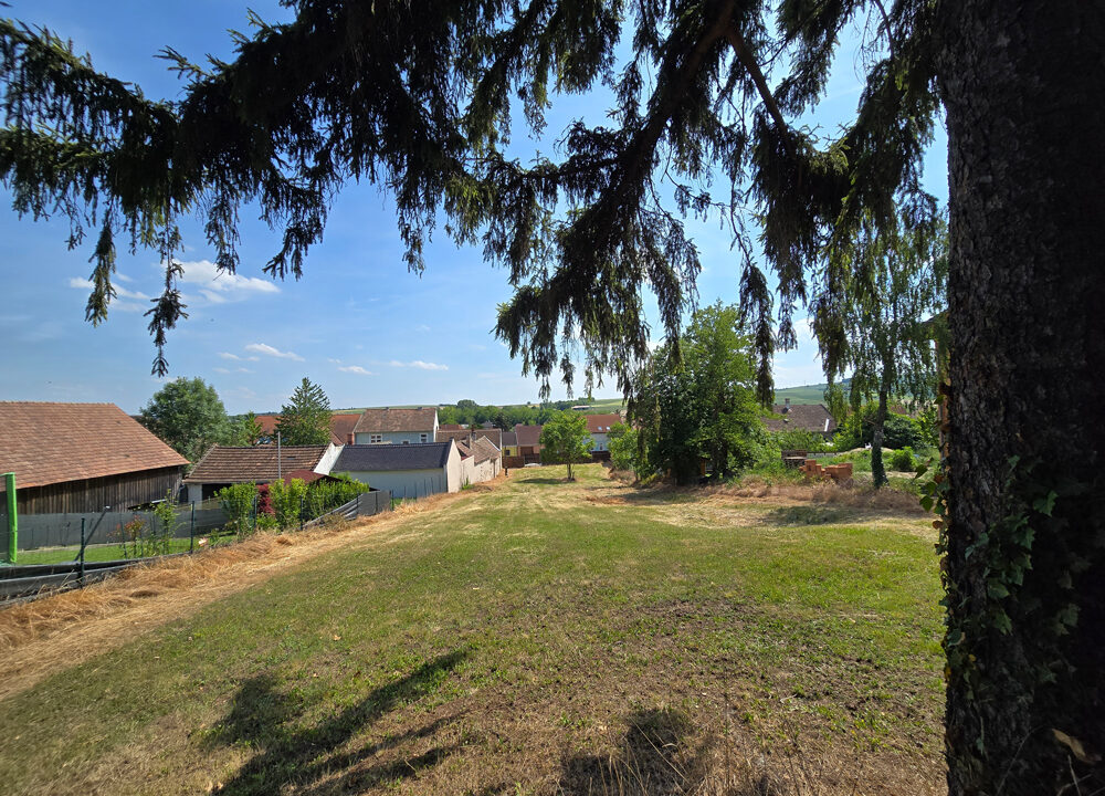 2013_grossstelzendorf_19