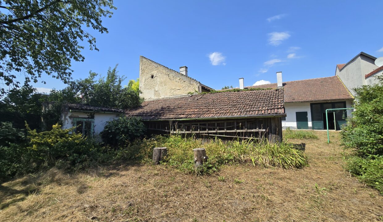 hausleiten_kremser_garten2