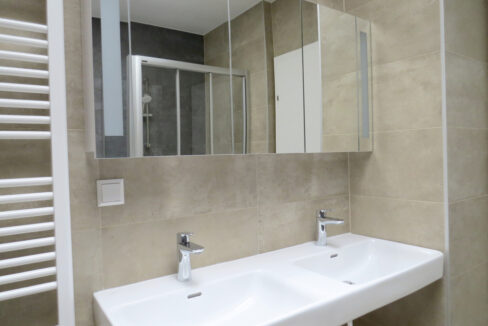 2103_lercheng_b_bad_wabe