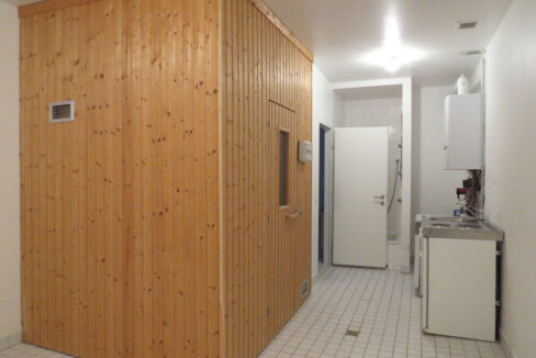 2103_lercheng_b_sauna_kochnische