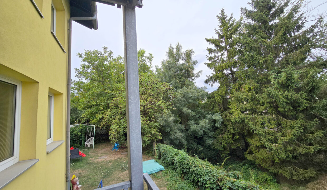 2011_sierndorf_anton_schwarz_blick_balkon