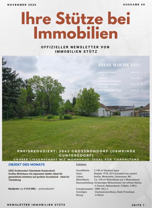 Immobilien Newsletter_Nov2025-cover