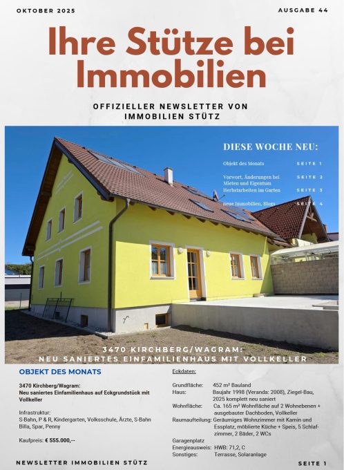 Immobilien Newsletter_Okt2025 -1