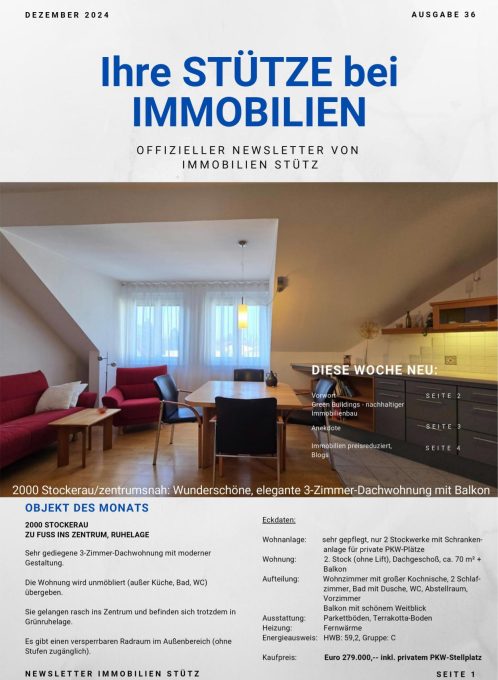 Newsletter_Dez 2024-1