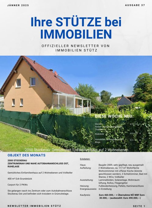 Cover Immobilien Stütz Newsletter Jänner 2025