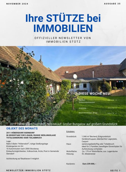 Newsletter_Nov 2024-1